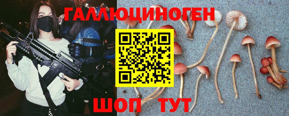Галлюциногенные грибы MAGIC MUSHROOMS  Псилоцибиновые грибы ЛСД  Вход с VPN  Мичуринск 